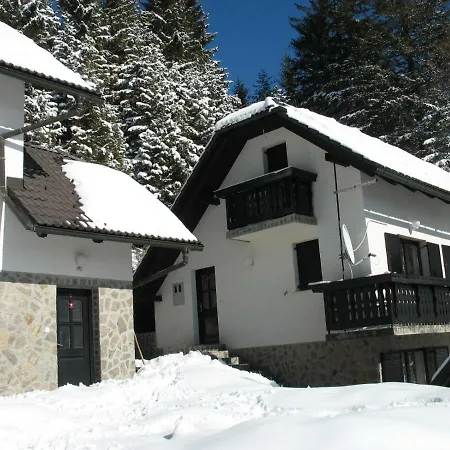 Appartement Rogla Nune 3 *