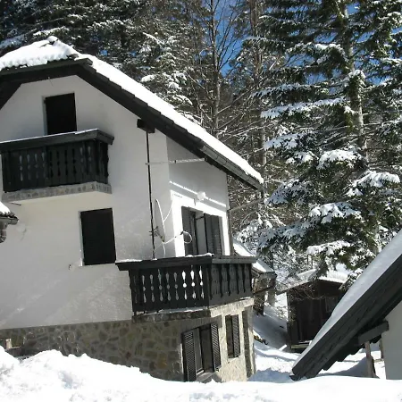 Rogla Nune 3