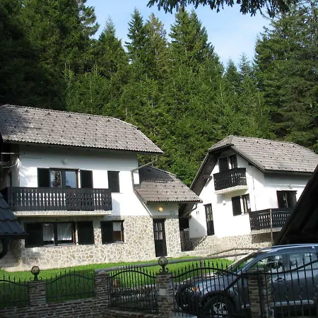 Rogla Nune 3