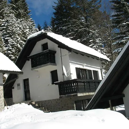 Rogla Nune 3