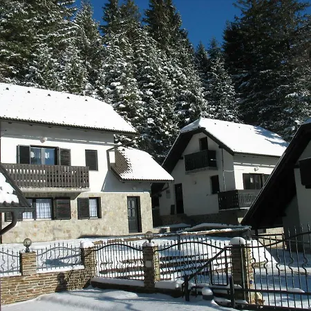 Rogla Nune 3